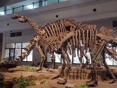 -自贡恐龙博物馆