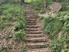 -青龙山国家森林公园