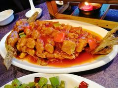 -金龙寨(龙城路店)