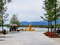 -野鸭湖国家湿地公园