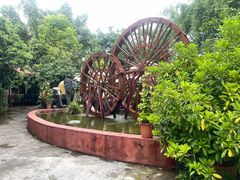 -品德宏·孔雀宴的发源地(金塔园店)