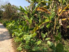 -美的鹭湖探索王国