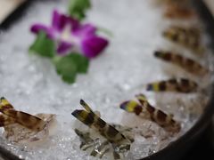 -富来美食