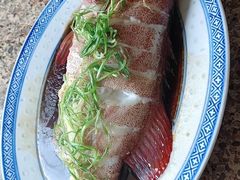 -大班家政月嫂育儿嫂(总部店)