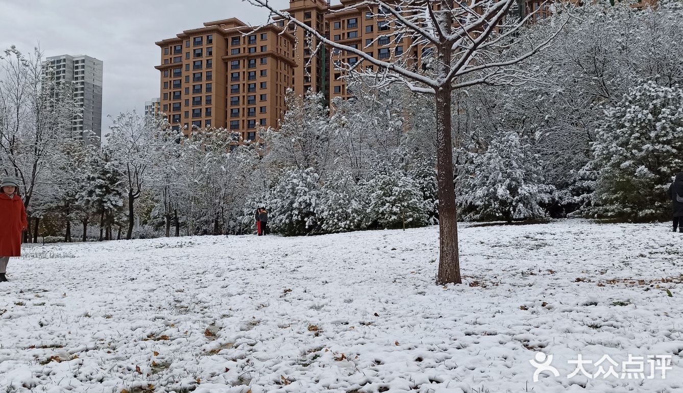 东环公园雪景和黄叶