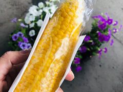 -富田农场