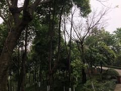 -大渡口区义渡公园