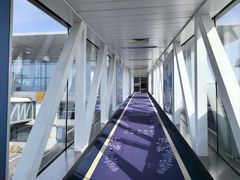 -乌鲁木齐天山国际机场-T3航站楼