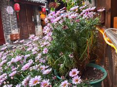 -民食香·腊排骨野生菌美食(木府店)