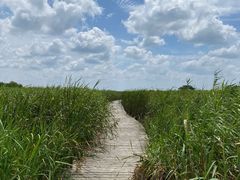 -盐城丹顶鹤湿地生态旅游区