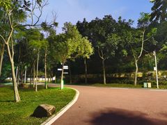 -凤岗南门山森林公园