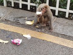 -黔灵山公园