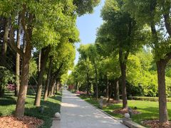 -宋庆龄陵园