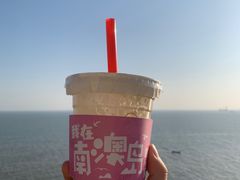 -南澳岛打卡果汁冰公司