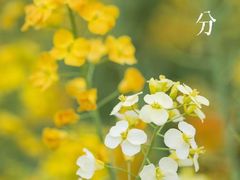 -广州绿地中央广场