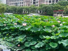 -中国计量大学(西校区)