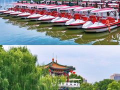 -天津水上公园