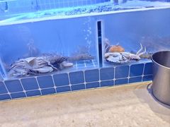 -雍和会海鲜姿造自助(湖东路店)