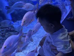 -成都浩海立方海洋公园