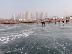 -丁香湖公园