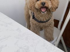 -素心小筑(后沙裕镇店)