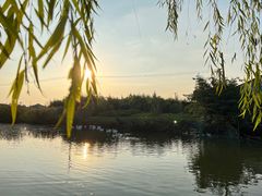 -贡湖湾湿地公园