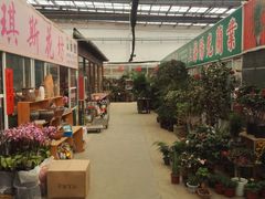 -龙大花卉苗木市场