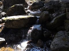-驼梁风景区