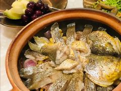 大黄鱼-人间采蜜(海信广场店)