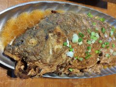 -95号酱骨·一块豆腐(展春园西路店)