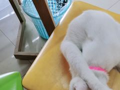 -享哆味·汉堡炸鸡(国泰新城店)