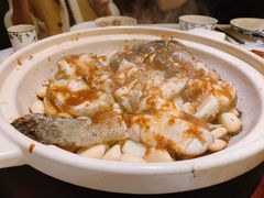 姜豉汁焗龙鼠斑-炳胜品味(海印总店)