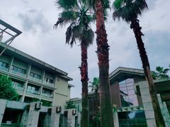 -宁波九龙湖开元度假村