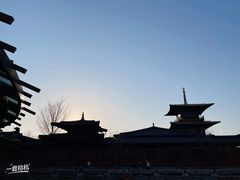 -广富林郊野公园
