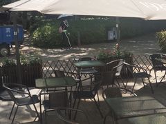 -MAP CHA普洱茶馆(翠湖店)