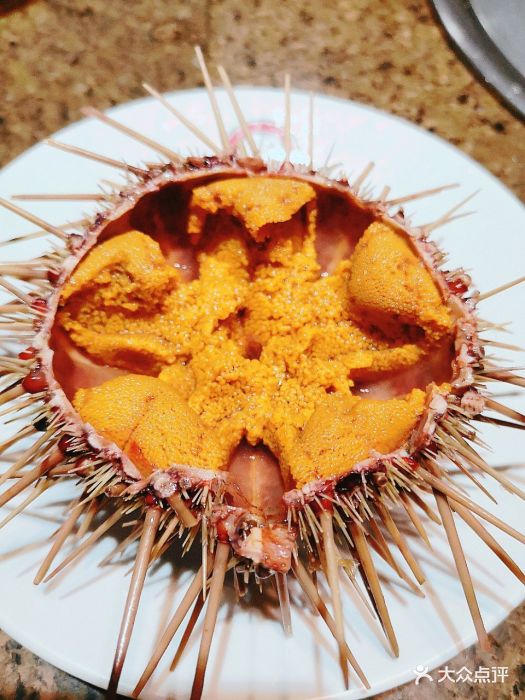 正黄旗海鲜烧烤大排档(延安路店)生吃海胆图片