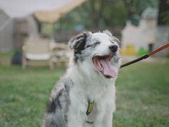 -Supine Bistro溯泮餐厅