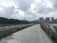 -野狸岛