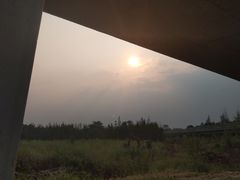 -白鹭湾湿地公园