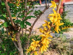 -农园餐厅(北京大学店)