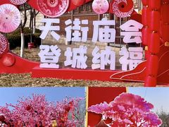 -开封城墙景区