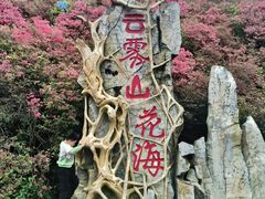 -木兰云雾山