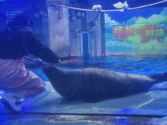-合肥海洋世界