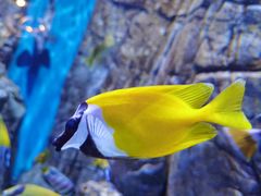 -成都浩海立方海洋公园