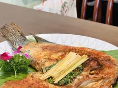 -紫滇源云南生态菜(丹凤街店)