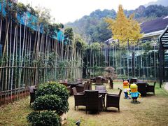 -三江森林温泉度假区