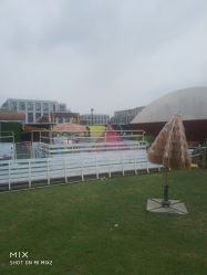 -小蜜蜂农场(凯德七宝购物广场店)