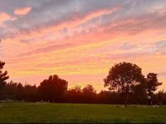 -汉长安城未央宫国家考古遗址公园