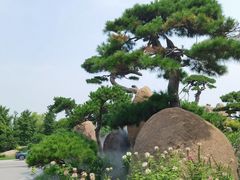 -罗红摄影艺术馆