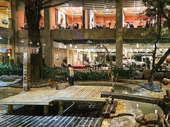 -白虎自助餐厅·真老虎·景观自助餐厅(广州长隆酒店)